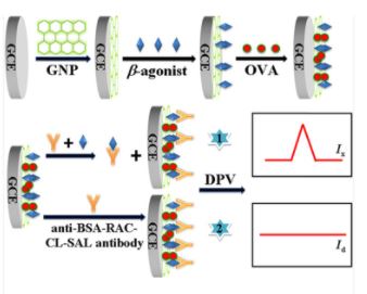 anti bovine serum albumin antibody, Nanometer-Sized Boron Loaded Liposomes Containing Fe 3 O 4 Magnetic Nanoparticles and Tributyl Borate and Anti-Albumin from Bovine Serum Antibody for Thermal Neutron Detection